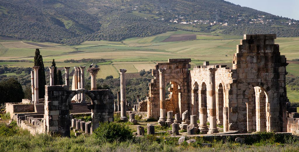 Tour di gruppo: Alla scoperta delle Città Imperiali