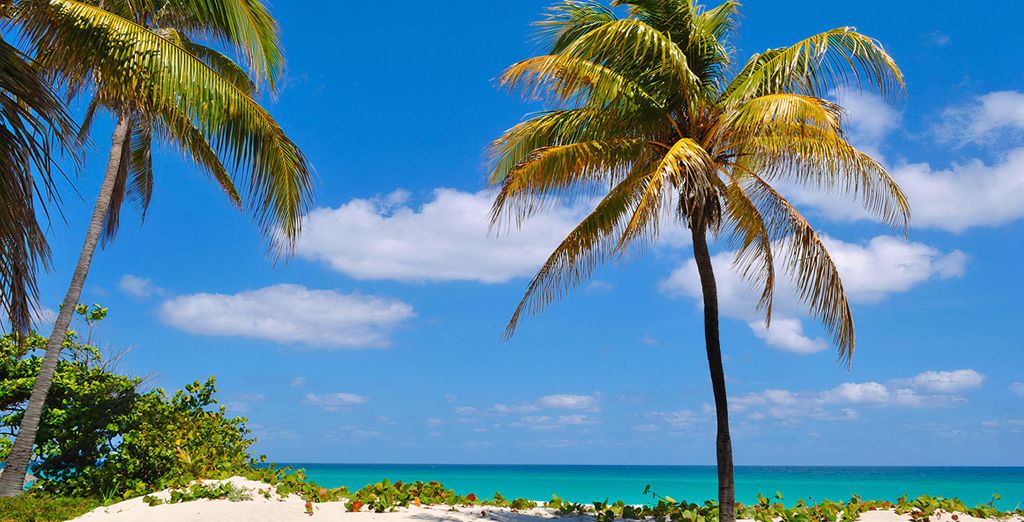 Combinato L'Avana e Varadero con corso di Salsa incluso