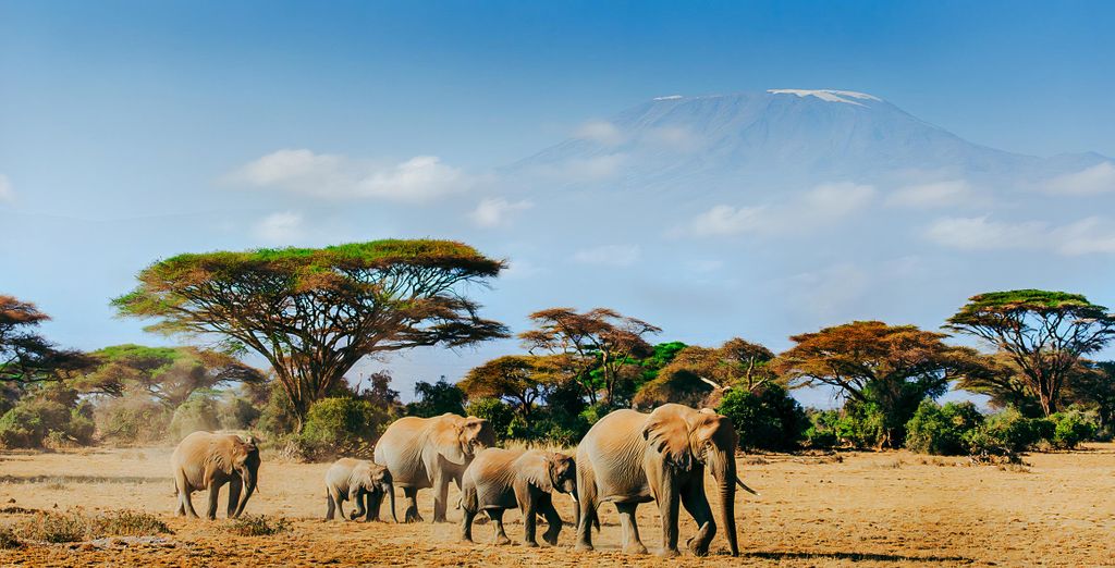 PrideInn Flamingo Beach Resort & Spa Mombasa 4* e safari nei parchi naturali