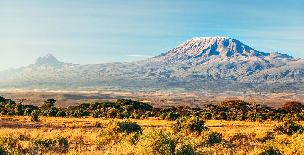 Combinato Safari di 2, 3 o 4 notti e Temple Point Resort 4*