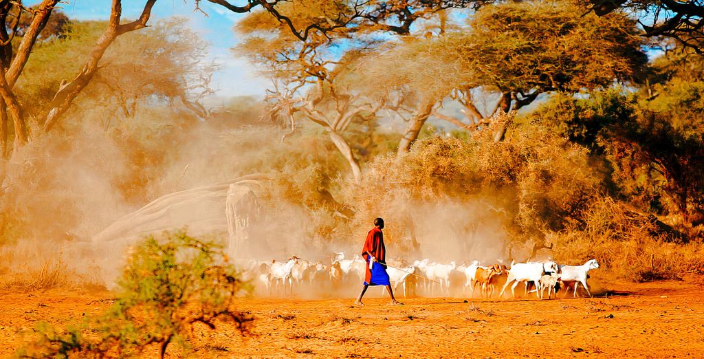 Temple Point Resort 4* con possibile estensione in Safari