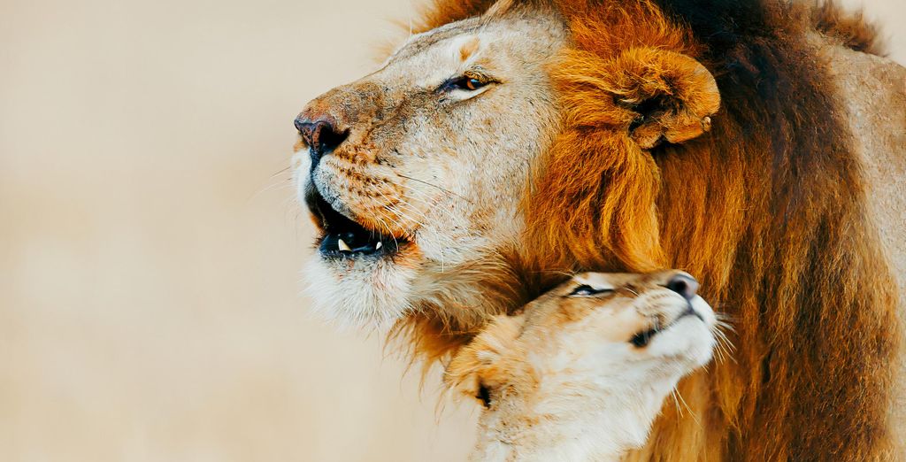 Safari privato "L'essenza del Kenya" e Sarova Whitesands Beach Resort & Spa 4*