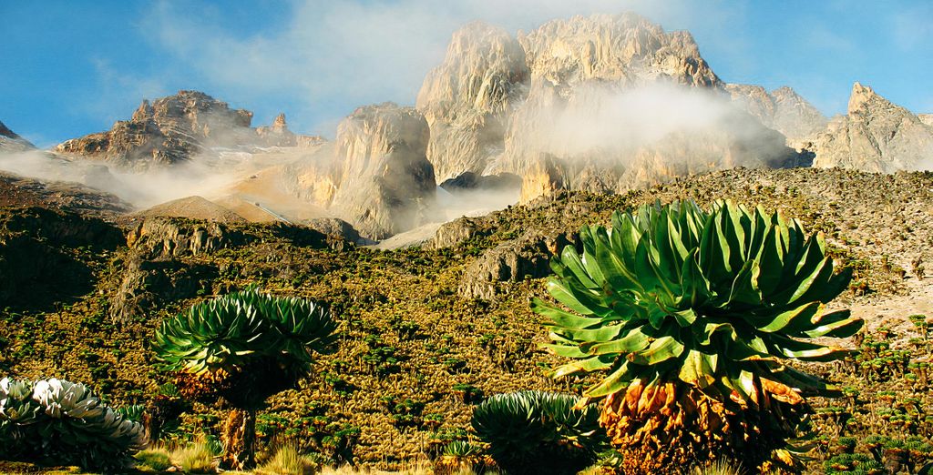 The Baobab Beach Resort & Spa 4* con safari da 1 a 4 notti