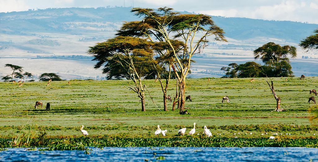Safari privato "L'essenza del Kenya" e Sarova Whitesands Beach Resort & Spa 4*