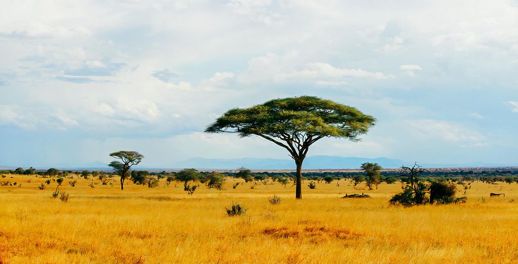 Temple Point Resort 4* con possibile estensione in Safari