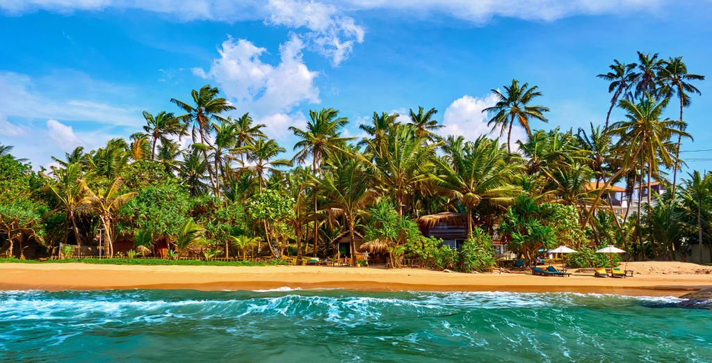Tour di gruppo: L'essenza dello Sri Lanka