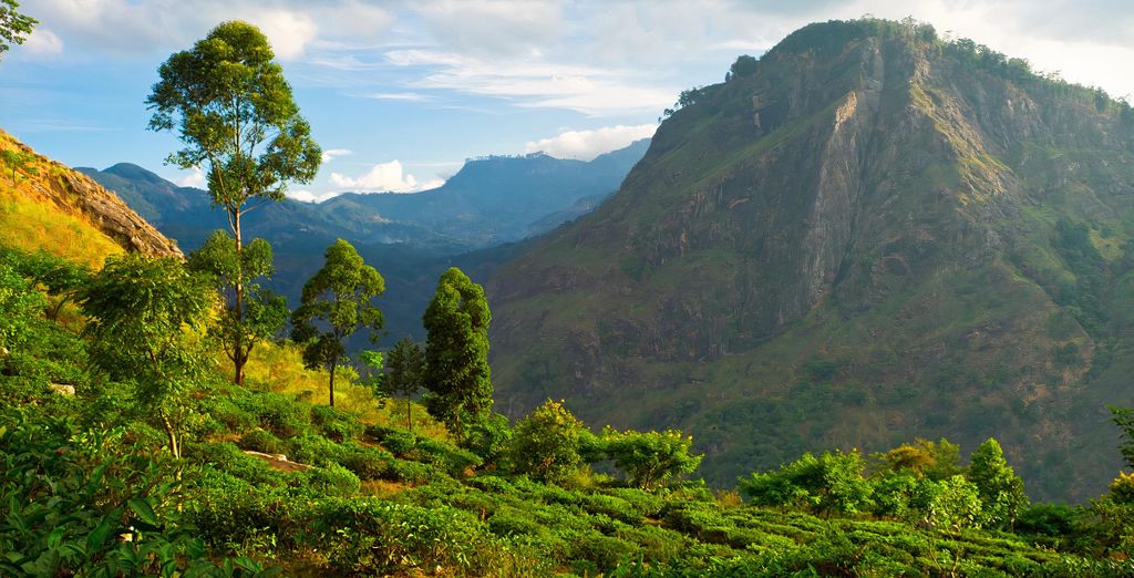 Tour privato delle bellezze dell'antica Ceylon