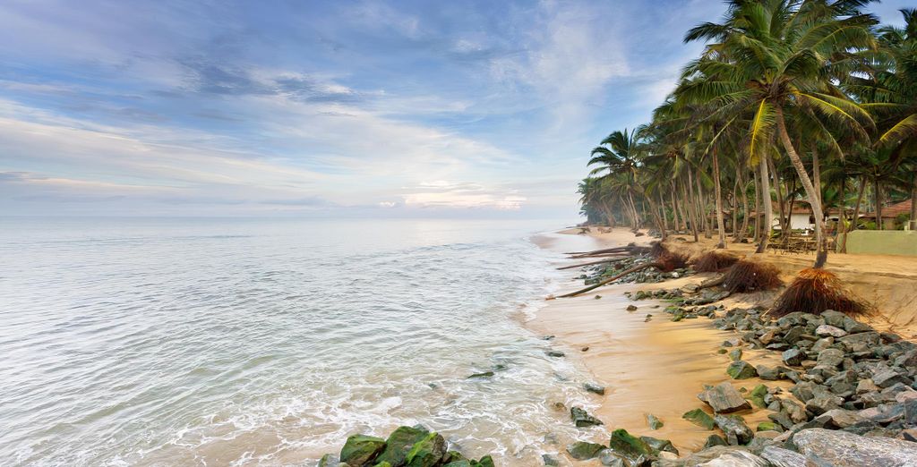 Tour in Sri Lanka con possibile estensione allo Hyatt Regency Dubai Creek Heights 5* 