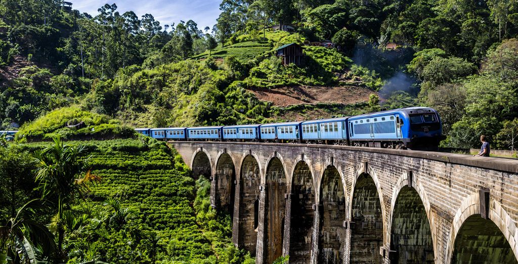 Tour di 7 notti nello Sri Lanka con possibile estensione a Wadduwa
