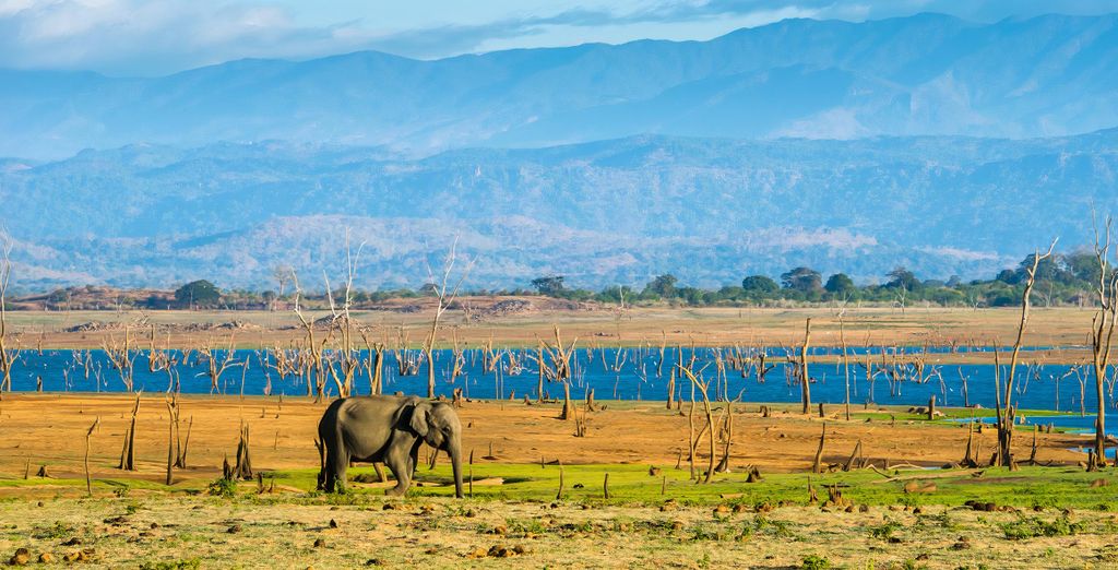 Grand Tour dello Sri Lanka in 11 notti con possibile estensione allo Shinagawa Beach Resort