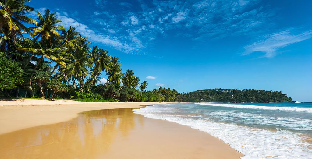 Tour di 7 notti nello Sri Lanka con possibile estensione a Wadduwa