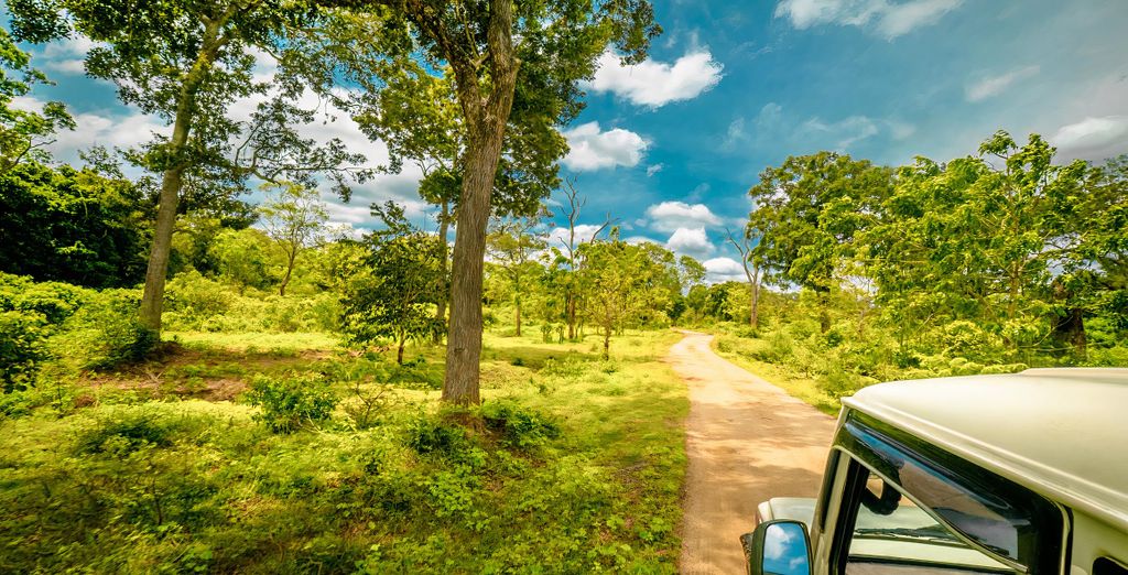 Le meraviglie dello Sri Lanka in 9, 11 o 13 notti