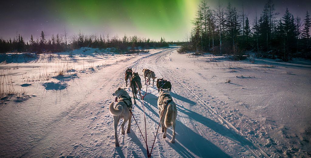 Soggiorno in libertà: A caccia dell'aurora boreale 
