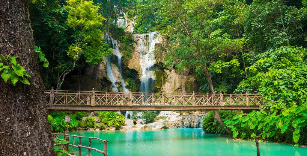 Tour privato "I segreti della Cambogia" con eventuale pre-estensione a Luang Prabang 