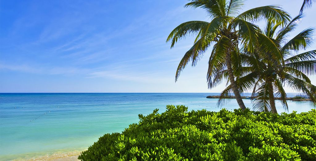 Grand Palladium Jamaica 5*