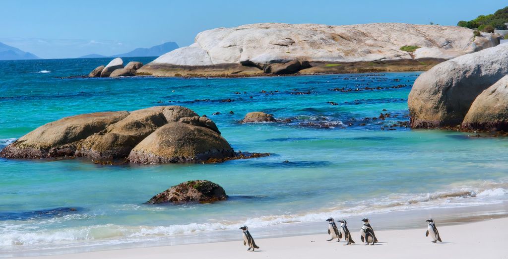 Autotour: Città del Capo e la Garden Route