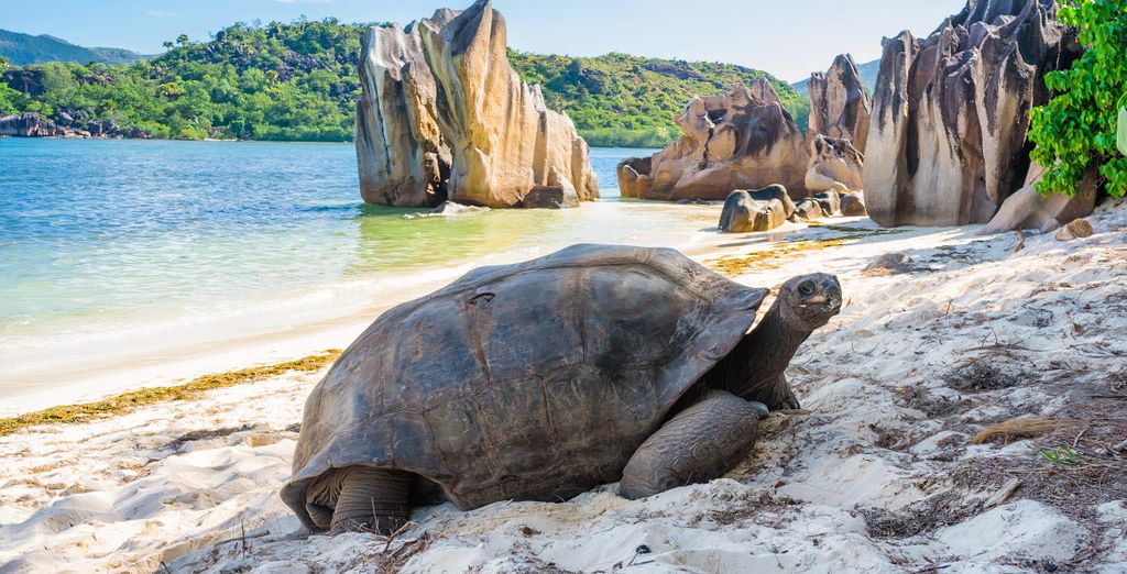 Marriott Seychelles, laïla, A Tribute Portfolio Resort 4* 
