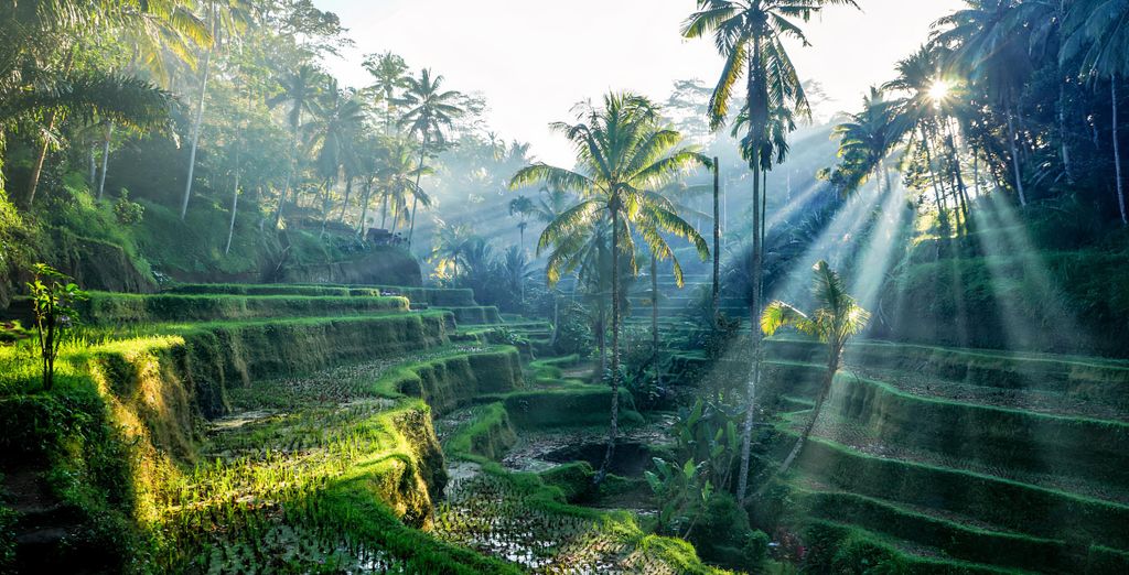 Ananda Ubud Resort + Maison Aurelia Sanur 4* + Anja Suite
