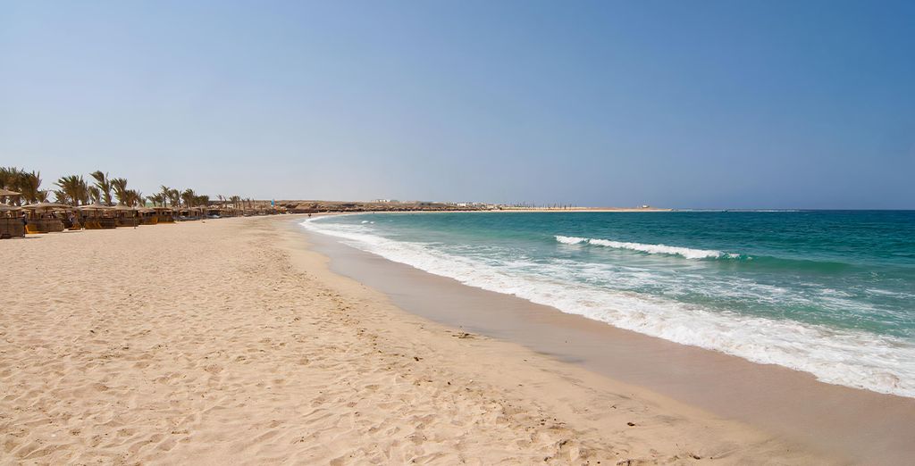 Solymar Reef Marsa 4*