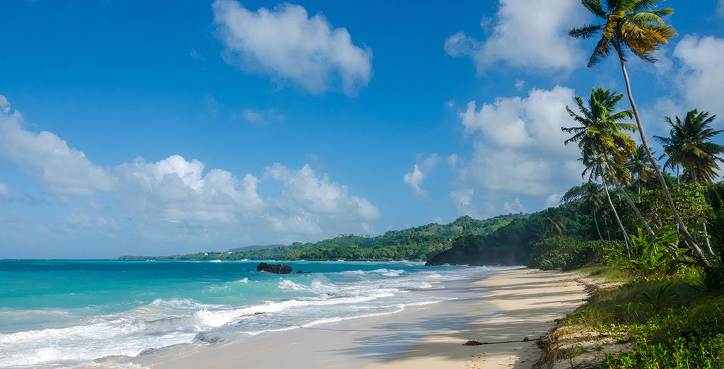 Viva Wyndham V Samana 5* - Adults Only