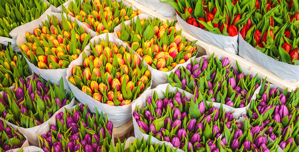 Bilderberg Garden 5*