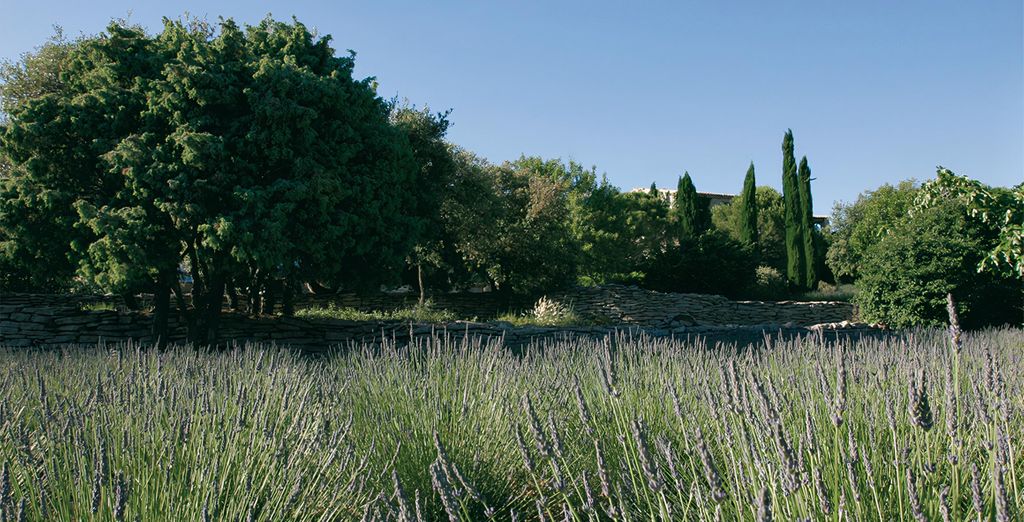 Hôtel Les Bories & Spa 5*