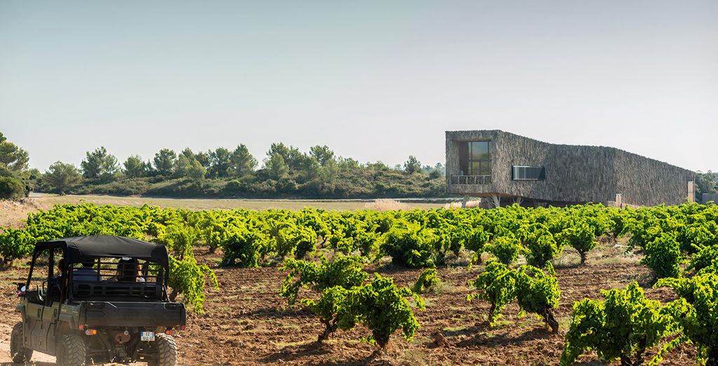 Tour enologico dell'Occitania in hotel 4* e 5*