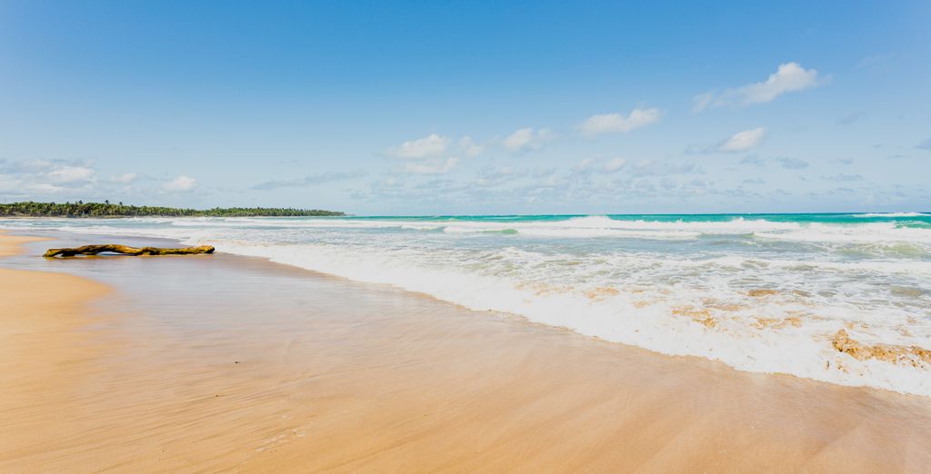 Falcon's Resort by Meliá - All Suites Punta Cana 5*