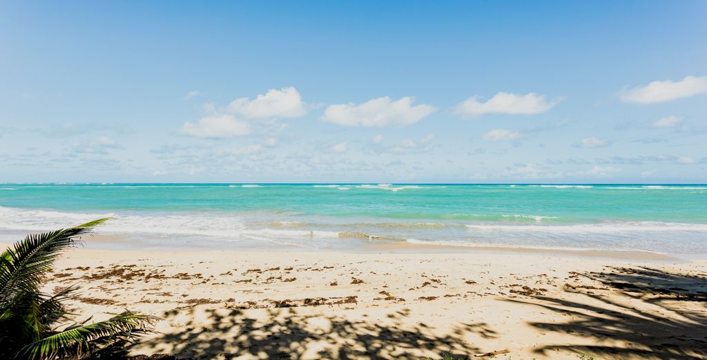 Barceló Bávaro Palace 5*