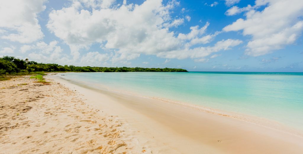 Royalton Bavaro Resort & Spa 5*