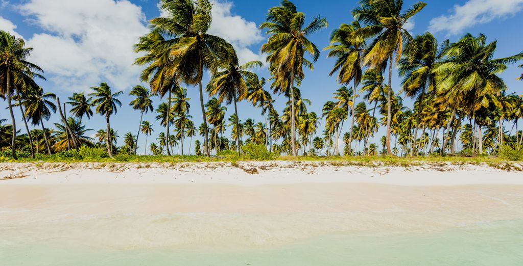 Barceló Bávaro Palace 5*