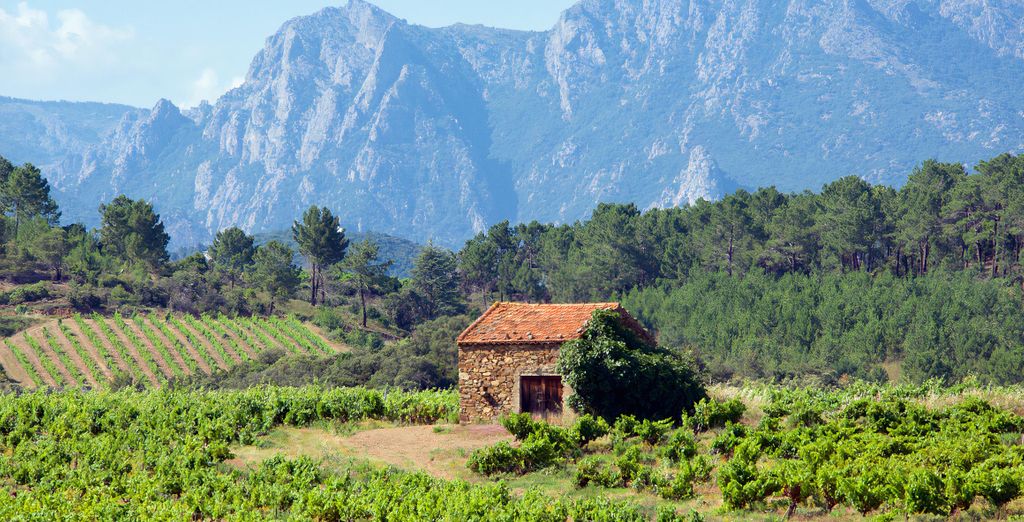 Tour enologico dell'Occitania in hotel 4* e 5*