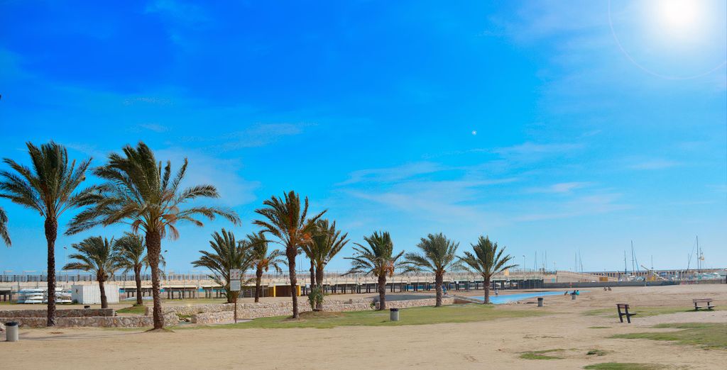 Hotel Brisamar 