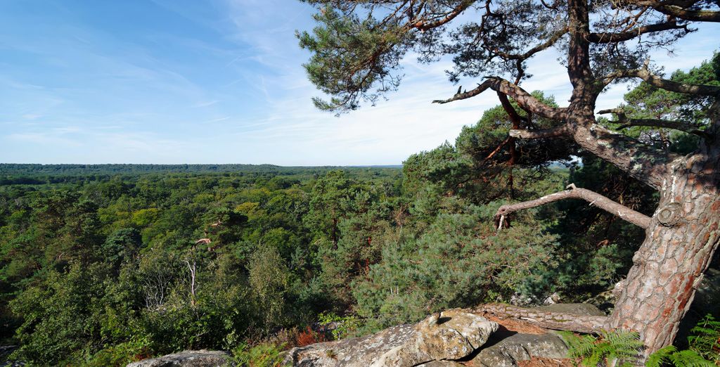 Mercure Château de Fontainebleau Demeure de Campagne 4*