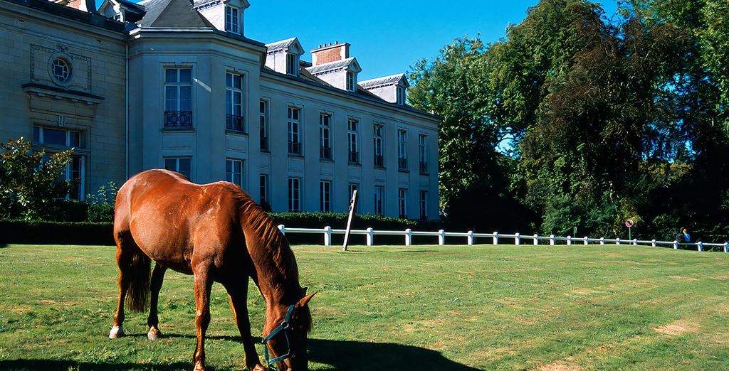 Novotel Domaine De Maffliers - Demeure De Campagne