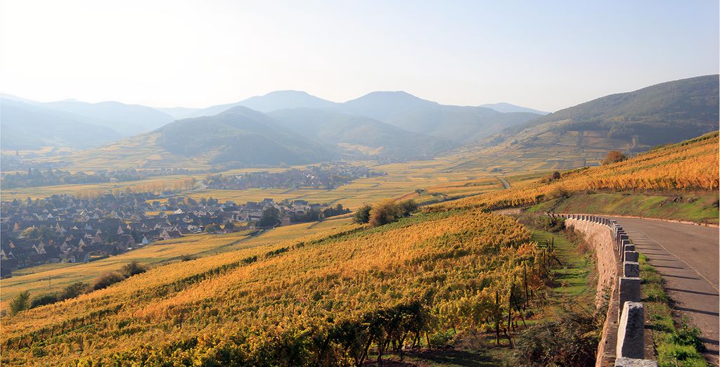Tour dei mercatini di Natale e della strada del vino in Alsazia