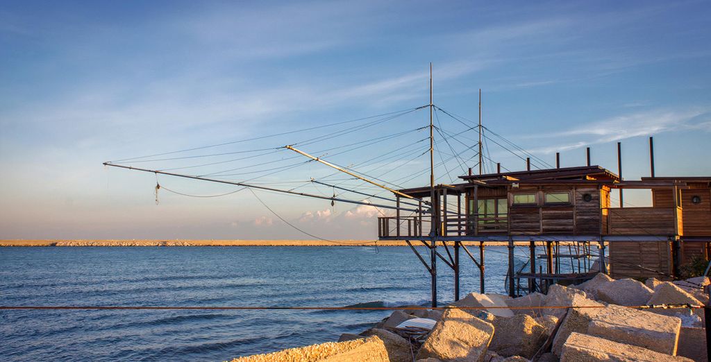 Sea Lion Hotel 4*