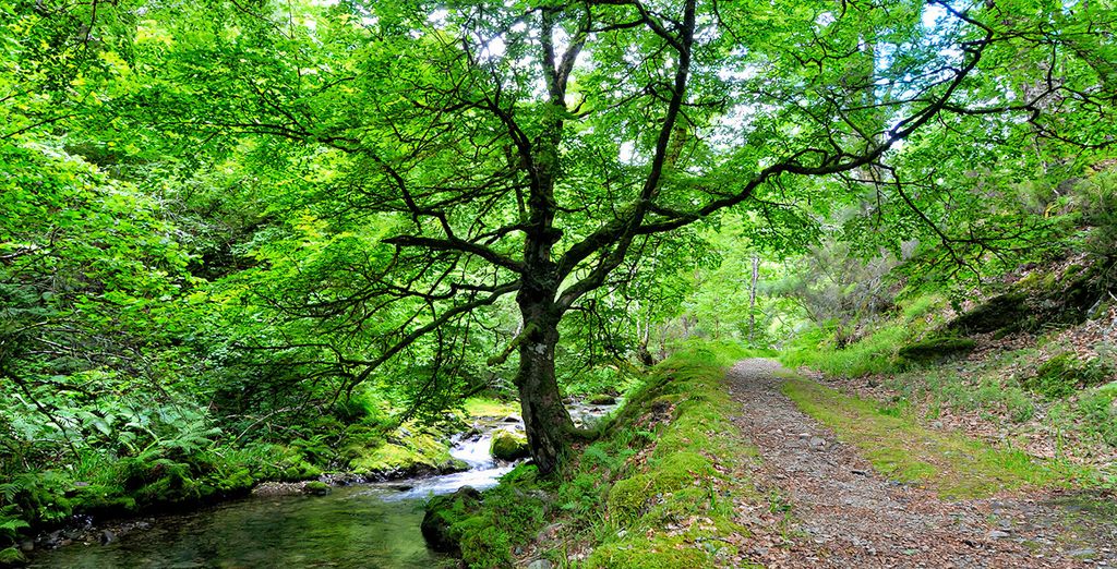 Artiem Asturias 5*