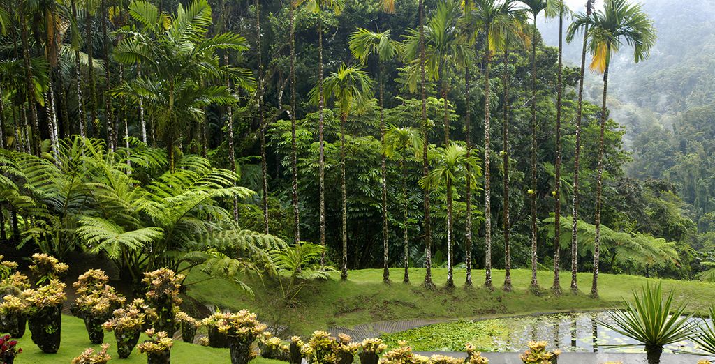 Anoli Lodges