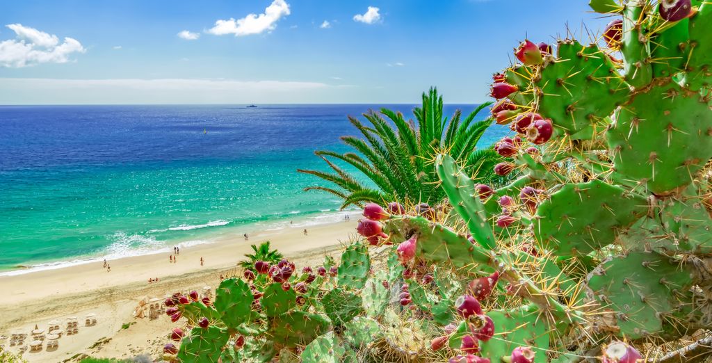 Jandia Princess 4* - Adults Only