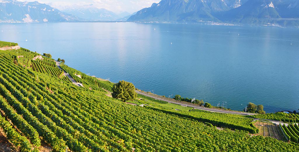 Domaine de Divonne 4*