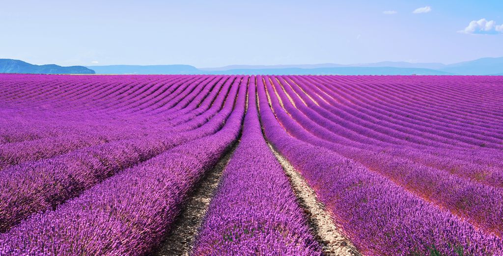 Domaine des Andéols 5*