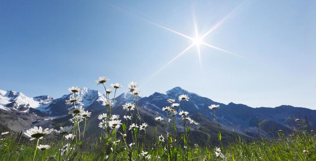 Paradies Pure Mountain Resort 4*