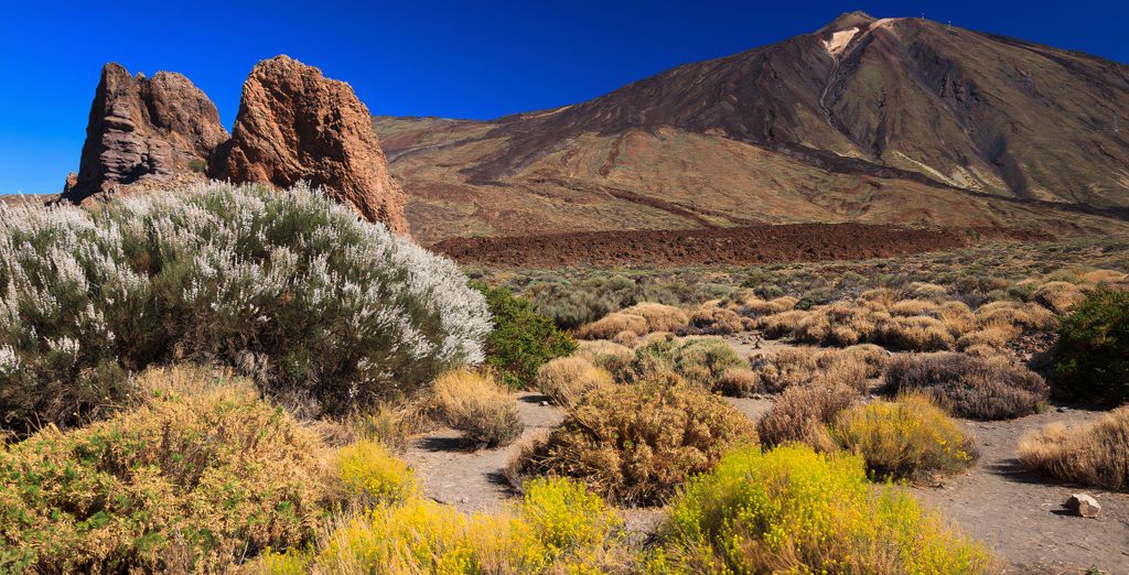 HD Parque Cristóbal Tenerife