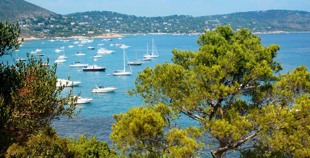 Résidence Prestige Odalys Les Canissons 4*
