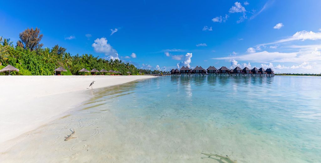 Sun Siyam Olhuveli 4*