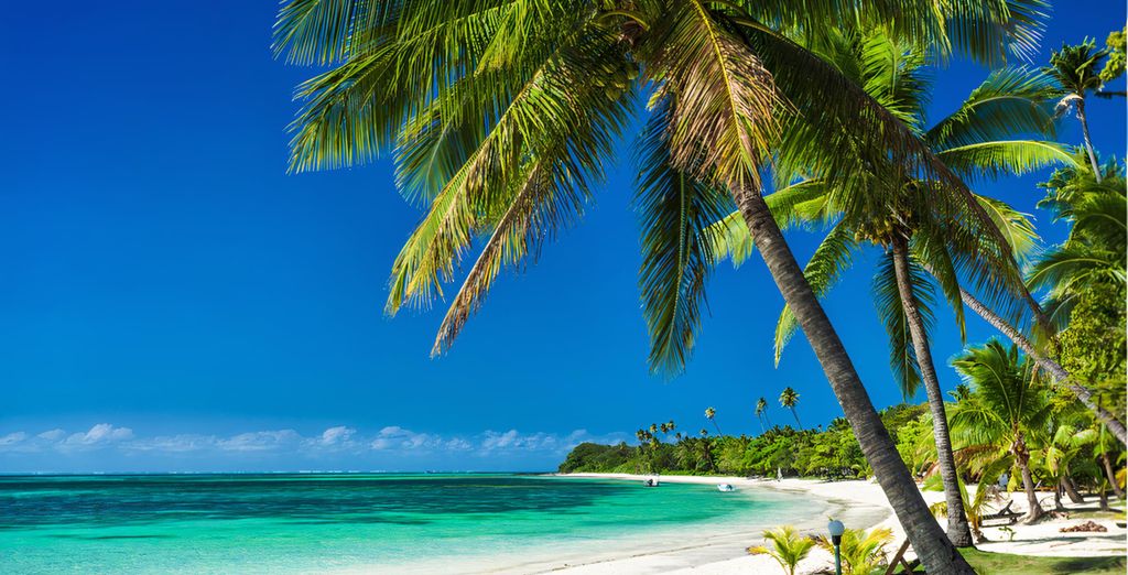 Navutu Stars Fiji Boutique Resort - Adult Only - Fidji - Jusqu’à -70% |  Voyage Privé