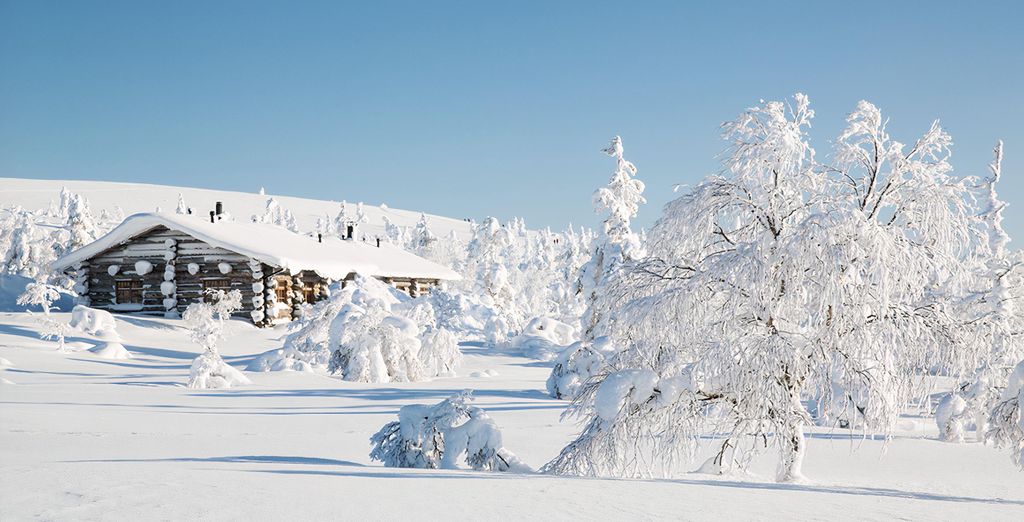 Tour alla scoperta del Grande Nord