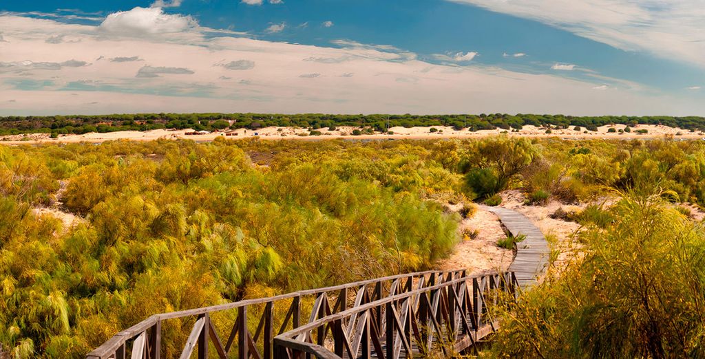 Precise Resort El Rompido -The Club 4*