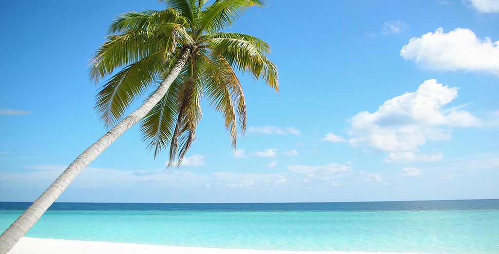 Sun Siyam Iru Veli 5*